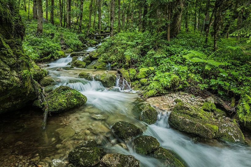 Röthbach waterval in het bos, Duitsland van Bob Slagter