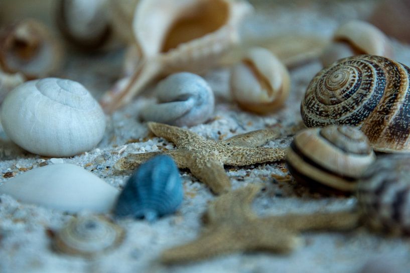 Leben im Meer von Michael van Eijk