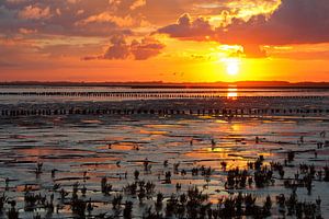 Zonsopkomst boven de Waddenzee van Anja Brouwer Fotografie