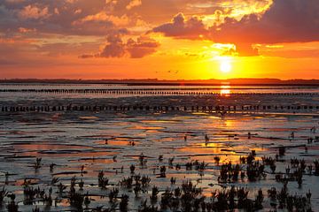 Sonnenaufgang über dem Wattenmeer von Anja Brouwer Fotografie