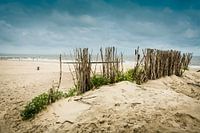 Noordzeestrand