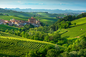 Das Dorf Barolo und das Schloss in den Weinbergen der Langhe, Piemont, Italien
