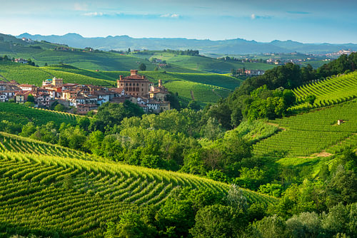 Das Dorf Barolo und das Schloss in den Weinbergen der Langhe, Piemont, Italien von Stefano Orazzini