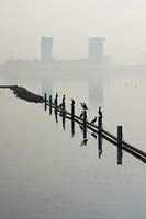 Zevenhuizerplas,  Rotterdam Nesselande