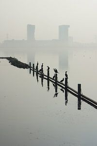 Zevenhuizerplas,  Rotterdam Nesselande