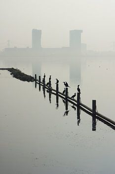 Zevenhuizerplas,  Rotterdam Nesselande