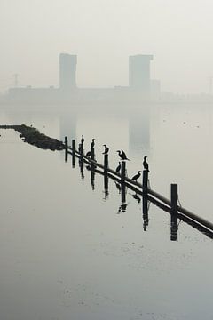 Zevenhuizerplas,  Rotterdam Nesselande van Michel van Kooten