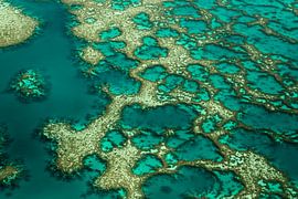 Gondwana von Karsten Wrobel