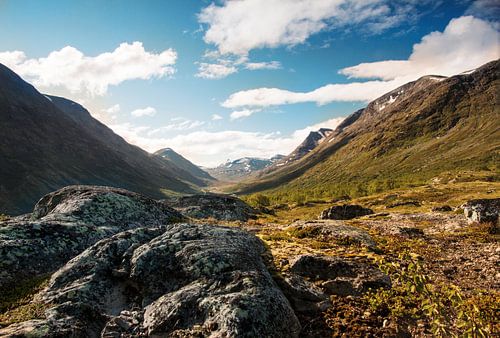 Grote rotsblokken in het dal
