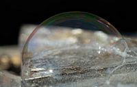 Close-up of a transparent soap bubble lying on ice. by Ulrike Leone thumbnail
