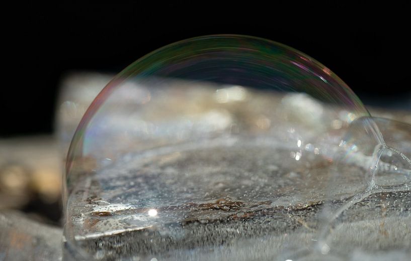 Close-up of a transparent soap bubble lying on ice. by Ulrike Leone