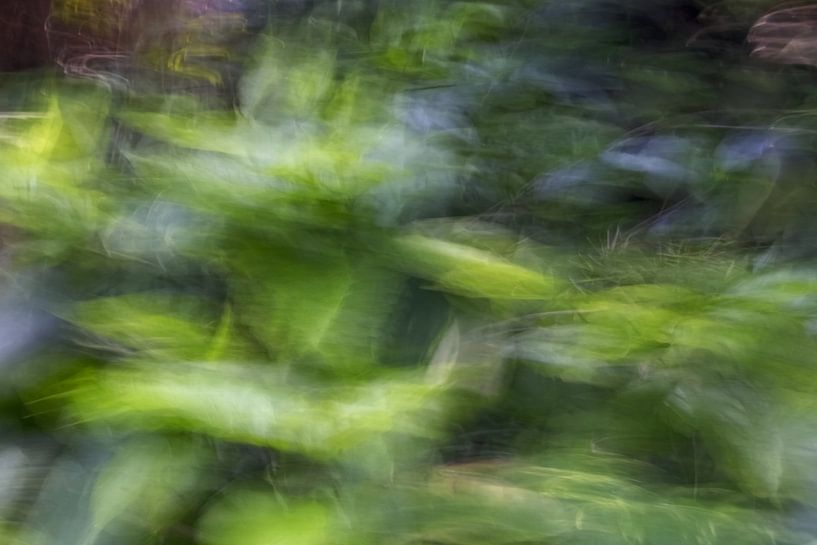 Abstract Photography Botany Plants by arte factum berlin