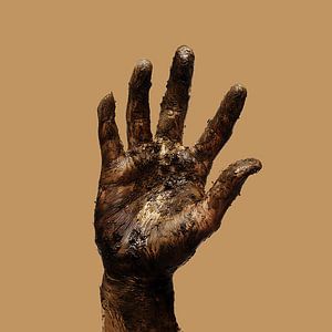 Les mains dans la terre
