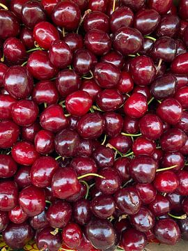 Cerises sur Hanneke Bantje