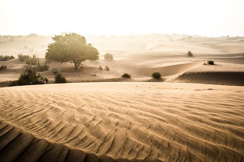 Beige woestijn landschap in India