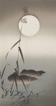 Twee wilde eenden in water tussen riet en een volle maan, Ohara Koson