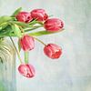 Histoire de tulipes #6 sur Lizzy Pe