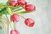 Histoire de tulipes #6 sur Lizzy Pe