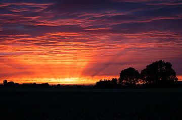 Schemeringsstralen tijdens een purperen zonsopkomst van Menno van der Haven