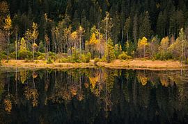 Buhlbachsee Baiersbronn im Herbst von Guido de Kleijn