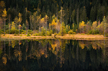 Buhlbachsee Baiersbronn im Herbst