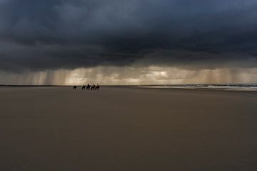 Chevaux sur Gerrit de Groot