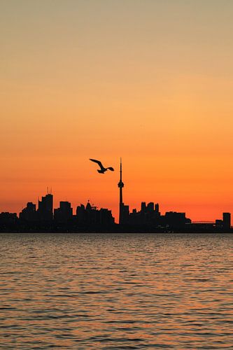 Toronto
