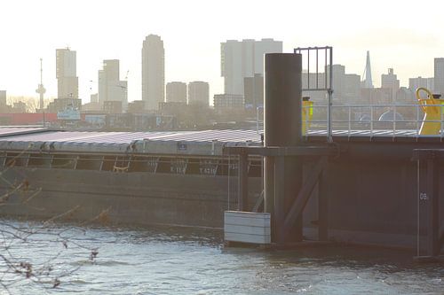 Mistig Rotterdam