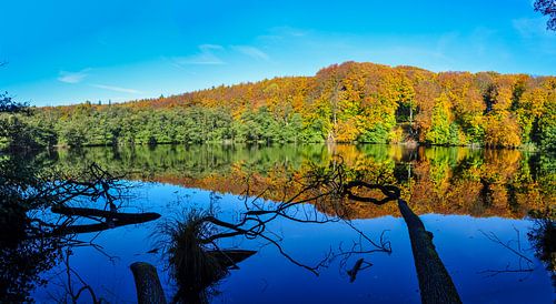 Le lac Herta dans le parc national de Jasmund