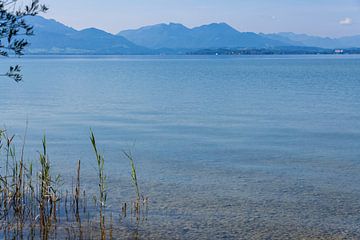 Chiemsee in de zomer van Peter Baier