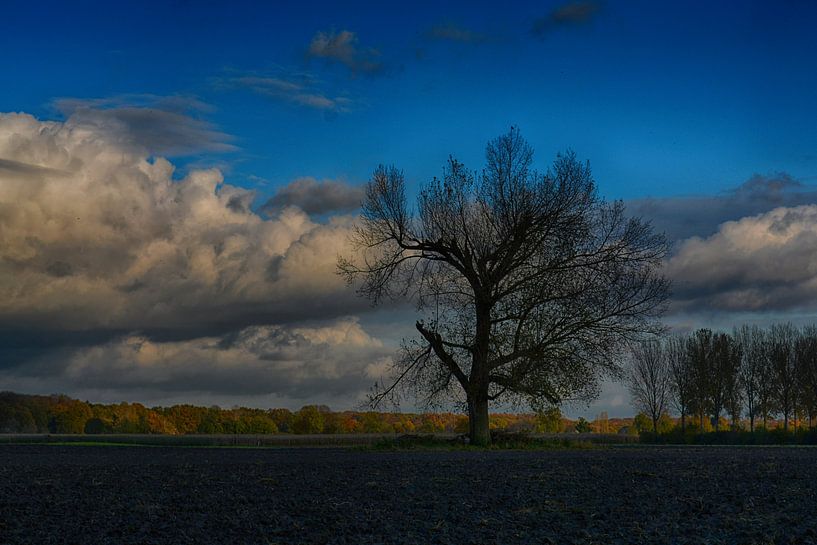 Herbst in Wieler (Limburg) von FotoGraaGHanneke