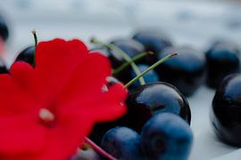 Fruit and flowers life moments von Purdelicious Photo Made