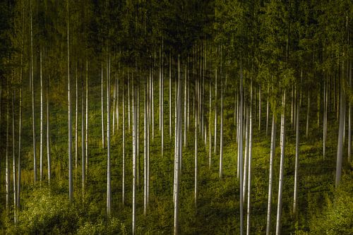 The Needles Cathedral