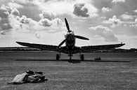 Curtiss Wright P-40C Warhawk van Robbert De Reus thumbnail