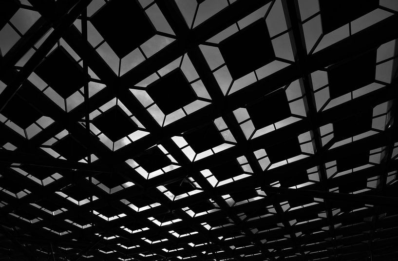 Den Haag centraal par Eduard Wissink