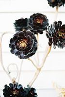 Blumen botanischer Blumendruck