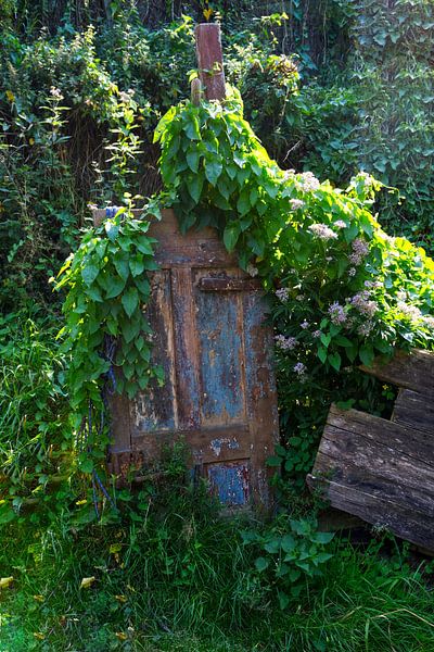Overgrown, old door by Flatfield