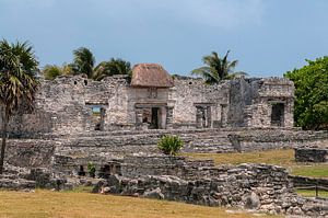 Mexico: Tulum  (Tulum)