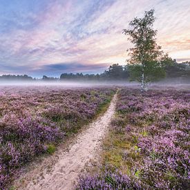 Colourful morning on the Galderse Heide Breda by JPWFoto