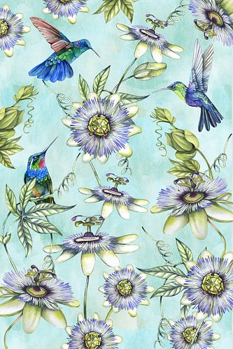 Hummingbirds passiebloem