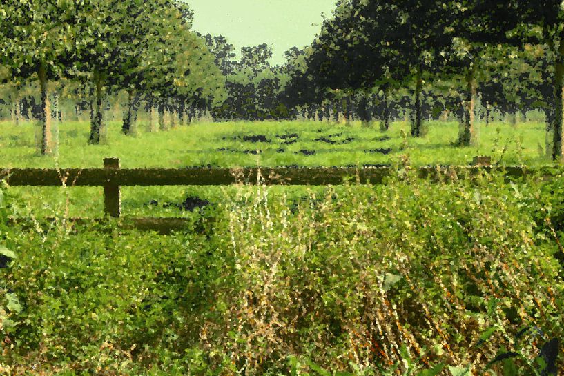 Holländische Landschaft, grüne Wiesenbäume, Ölfarbe von C. Catharina