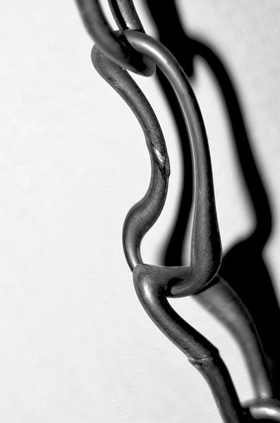 Flüssige Kette von Daniel Dorst