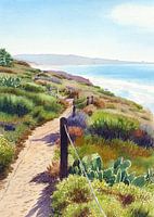 Torrey Pines Guy Fleming TrailA