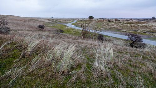 Landschap Ameland van Age Meijer