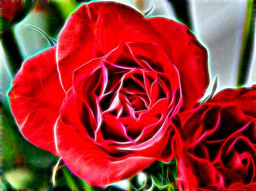 De bloem der liefde