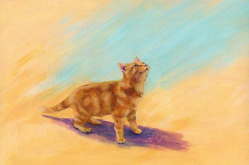 Chat brun-roux enjoué