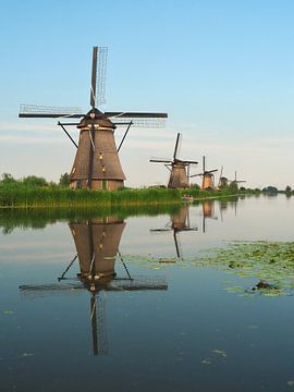 Kinderdijk van Ellen Nipshagen