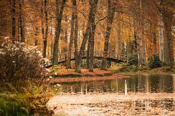 Le parc sur Mariette Kranenburg