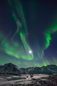 Nordlichter, Polarlicht oder Aurora Borealis im nächtlichen Himmel über Senja