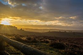 Zonsopkomst Posbank Rheden van Coosje Wennekes
